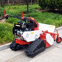 Hot-selling Tracked Walk-behind Lawnmower Steel Frame Height Adjustable Wholesale Handheld Lawn Mowers Mini Lawn Mowers CE