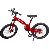 AliExpress YAMALI C8 Adult Electric Bicycle 250W Motor E-bike 29.4V9.32Ah Battery Electric Bike 20 Inch Tire city ebike