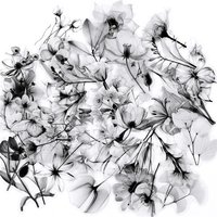 50PCS Light Black Flower PET Sticker Aesthetic Hand Accounting Transparent DIY Children's Decoration Scrapbooking Supplies