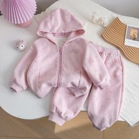 Girls' Sport Set Autumn New Children's Rabbit Print Hooded Top Loose Zipper Jackets Casual Pink Pants 2 Piece Outfit