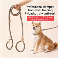 Dog Leash Slip Rope Lead Leash Heavy Duty Braided Rope Adjustable Loop Collar Training Leashes for Small Medium Large Dogs