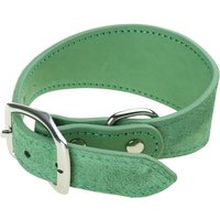 Leathers Dogs Collar Soft Padded Collar for Whippets Salukis Sighthounds Dogs Adjustable Collar Large Breeds Dogs Supply
