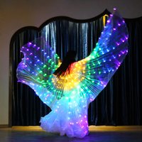 Led Rainbow Electronic Light Dance Wings Belly Dance Costumes Party Show Isis Dancewear Fluorescent Lights Isis Wing Children image 4