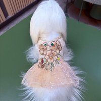 High-end Champagne Pet Dog Clothes Handmade Hollow Lace Mesh Seuqin Embroidery Flower Princess Dress for Small Medium Dog Puppy