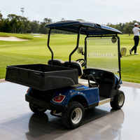 Street Legal Lithium Battery Golf Cart 2 Seats 5000W 4000W Powerful Motor Sightseeing Electric Golf Cart
