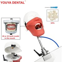 Dental Training Phantom Head Model Dental Simulator Manikin With Teeth For Teaching Practice Studying Dentistry Equipment Unit image 4