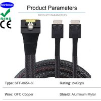 All Inclusive Anti Oblique Insertion Slimline SFF-8654 8i 74Pin PCI-E to Dual 2X OCulink 8611 4i Server Graphics Card Cable