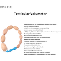 【F2-MAX111】12 Size Wooden Orchidometer Testis Volume Meter - Measurement Tool for Testis Size Male Tanner Stage Medical Educatio