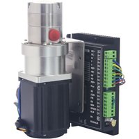 NS Series Mini Magnetic Drive Gear Pump High Viscosity High Pressure High Temperature Liquid Pump DC 24v 120W
