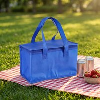 Non Woven Thermal Hand Bag Aluminum Foil Liner Zipper Design Large Size Cold Warm Keep Bag For Takeaway Food Catering Use