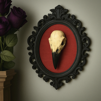Raven Skull Round Frame, Gothic Home Decor, The Crow Art, Special Occasion gifts, Gothic frames, Anatomical Wall Art