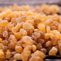 Frankincense Resin Organic Incense Brock Oliban Medicine Hydrosol Clean Frank Incense Nipple Boswellia Frereana