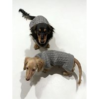 Winter Warm Knit 2-legged Sweater Vest for Wiener Dogs Solid Color Sleeveless for Badger Dogs Soft Coat For Small Mid Dachshund