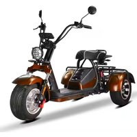AliExpress Unisex 3-Wheel Electric Tricycle Citycoco EEC Approved Electric Dirt Bike Scooter And Motorcycle 2000w Power