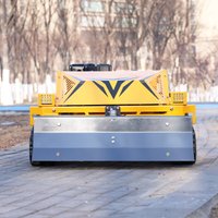 Customised remote control lawn mowers snow pusher Wireless control flail mower robot CE certification Euro 5 emission standard