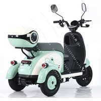Electric Scooter 3 Wheel 600W Vintage Cargo Electric Tricycle Bike for Adults