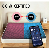 Eight 8 Sleep Same Function Smart App Control Bed Cooling System CE FCC Certified Water Based Mattress Cooling Pad for Couple