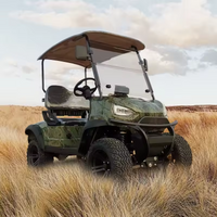 48V Electric Golf Cart 1 Row 2 Seater Road Off Buggy New Model Lithium Battery lifted Golf Cart
