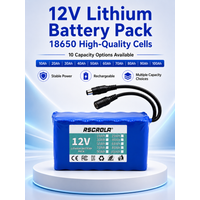 AliExpress Rscrola Rechargeable 12V 18650 Lithium Battery Pack with BMS, for Solar, LED Light, RC Model, Power Supply, Long Cycle Life with Charger