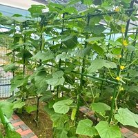 New of 60 durable metal climbing plant support brackets, suitable for plants, equipped with affordable accessories, sturdy and