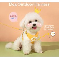 Pet out small daisy embroidered leash lace vest dog cat chest strap small dog chest back