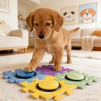 4pcs Dog Squeak Toy Recordable Talking Button With Pad Interactive Toy Portable Recording Sound Button Party Noise Makers