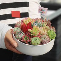 Large Plant Pot Silicone Mold Round Concrete Striped Bowl Flowerpot Mold DIY Candle Vessel Cement Storage Tray Resin Mould
