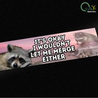 IIt's Okay I Wouldn't let Me Merge Either Raccoon Bumper Sticker Satire Car Sticker Decals Exterior Accessories Vinyl Decals