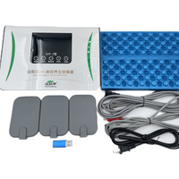 Body Health Massager SJP-1 Acid-base Leveling DDS Bioelectric Beauty Instrument Micro Electrotherapy Device