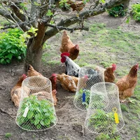 4-Pack Durable Metal Bird Repellent Cages for Garden Protection Ideal for Summer Gardening Portable Flowers And Vegetables Defen