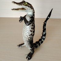 Animal Figurine Home Decoration Crocodile Reptile Specimen For Collection Science Education Special Gifts