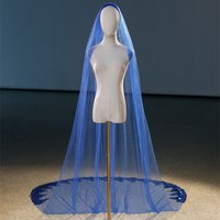 Real Photo 3M Long Blue Wedding Veil Luxury Sequined Lace Edge Green Red Gold Bridal Catherdral Veil with Comb For Photograpgh