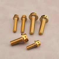 High Quality M6 M8 Titanium Bolt With Drilled Holes 10/15/20/25/30/35/40/45/50/60 Titanium Flange Gold Hex Head Bolts Motorcycle