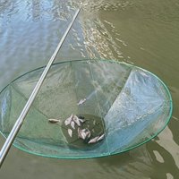 Fishing Net Case Foldable Fishing Net Cage Round Open Pull Fishing Shrimp Net Lobster For Port Fishing Boat Vertical Shore Use