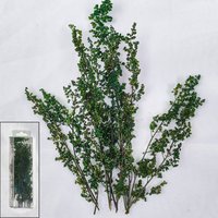 Realistic Miniature Shrubs Model Bushes Long Shrub Vegetation Groups for DIY Modeling Train Landscape Railroad Scenery Diorama