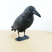 Pigeon Scarer Life Size Decoy Crow Pest Control Repellent Deterrent Scarecrow