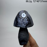 Natural Sardonyx Agate Alxa Gobi Eye black Color Mushroom Mineral Crystal Chakra Reiki Healing Stone Garden Decor Gift A1-2-21