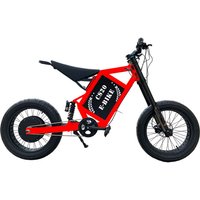 CS20 Adult Off Road Electric Bike 3000 Watt Strong Power Dirt Bike Fat Tire Bike Green Power 72V 38.6AH 20 Inch Wheel Tires