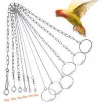 Bird Parrot Foot Chain Stainless Steel Ankle Foot Ring Stand Chain Outdoor Flying Training Starling Pigeon Bird Accessories