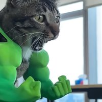 Funny "Green Muscle for Man" Cat Arm Ornament - Durable TPU Pet Toy with Realistic Muscle Design Cat Toy Playful Design
