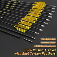 ID4.2mm Pure Carbon Arrows Spine250 300 350 400 500 600 700 800 900 1000 with Arrowheads Complete for Archery Hunting Shooting