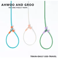 Pet Dog Training Round Rope 150cm Light Weight Nylon P Chain Collar Adjustable for Small Medium Dogs Walking Leash Pet Supplies