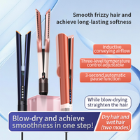 New Model Hair Dryer Straightener Ht01 Dual-Use 2-in-1 Negative Ion Smooth Styling Multifunctional Hair Straightener