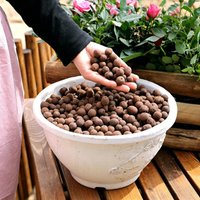 100-500g Reusable Hydroponic Clay Pebbles Flower Substrate Drainage Expanded Clay for Garden Planters Orchids and Succulents
