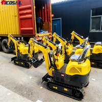 Factory Direct 800kg Small Excavator 0.8 Ton EPA CE for Outdoor Engineering