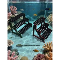 Corals Breeding Display Stand Aquarium Landscape Coral Breeding Micro-scape Soft And Hard Bone Multi-functional Elevating