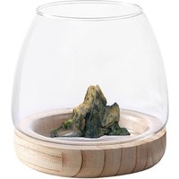 Clear Glass Vases Fish Tank With Wooden Base Hydroponic Plant Vase Ecological Fish Tank Flower Vase Centerpiece Decorative