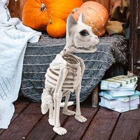Sitting Cat Skeleton Halloween Decoration Sturdy Multipurpose for Graveyard Display 15x24x34cm Animal Bone Prop PP Material Make