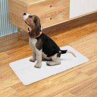 Intelligente Haustierwaage 100kg Digitale Waage mit LED-Anzeige Hohe Präzision 10g Abweichung USB-Aufladung Tierarztwaage zur Gesundheitsüberwachung von Haustieren