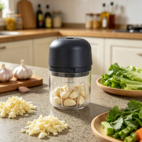 Usb Charging Electric Garlic Puree Machine Meat Grinder 260ml Onion Chopper Vanilla Vegetable Chili Grinder Kitchen Food Mixer